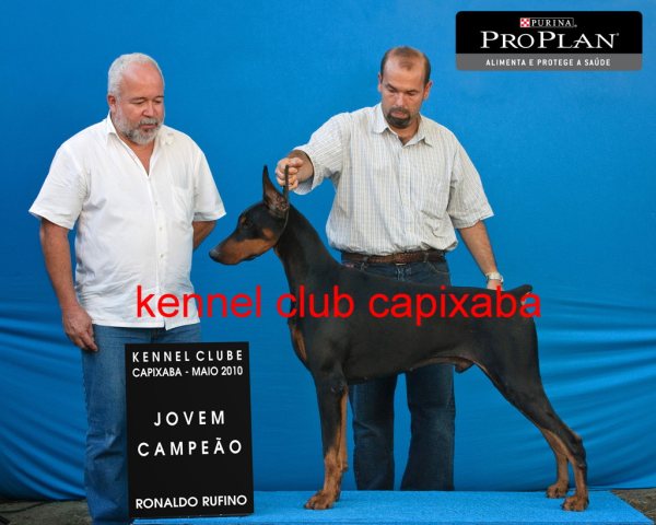 Clique sobre a foto para fechar